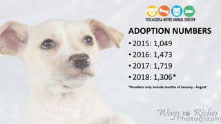 tuscaloosa metro animal shelter happy hour