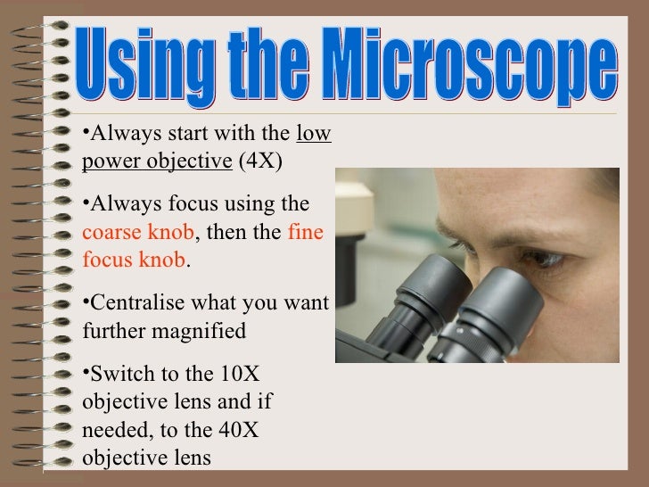 Microscope
