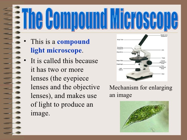 Microscope