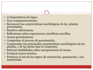 2) Expectativas de logro: Leer comprensivamente. Reconocer las características morfológicas de las  plantas presentadas.Resolver adivinanzas.Reflexionar sobre experiencias científicas sencillas.Armar germinadores.Comprobar el proceso de germinación.Comprender las principales características morfológicas de las plantas, y de las partes que la componen.Reforzar habilidades sobre interpretación de textos.Producir textos escritos.Practicar el uso de los signos de entonación, puntuación, y las mayúsculas.