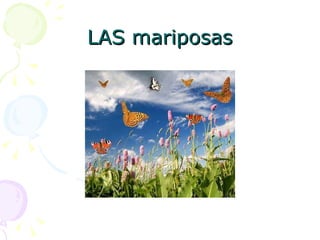 LAS mariposas 
