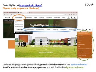 Go to MySDU at https://mitsdu.dk/en/
Choose study programme (Bachelor)
Under study programme you will find general SDU information in the horizontal menu
Specific information about your programme you will find in the right vertical menu
 