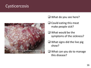 Pig and pork zoonoses in Uganda