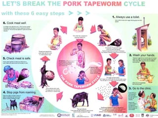 Pig and pork zoonoses in Uganda
