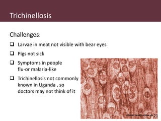 Pig and pork zoonoses in Uganda