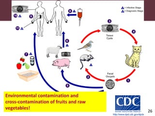 Pig and pork zoonoses in Uganda