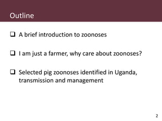 Pig and pork zoonoses in Uganda