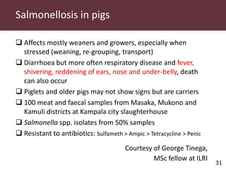 Pig and pork zoonoses in Uganda