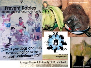 Pig and pork zoonoses in Uganda