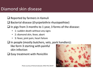 Pig and pork zoonoses in Uganda
