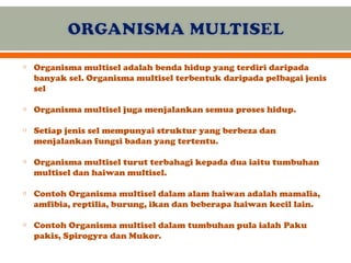 Mikroorganisma Unisel dan Multisel: Ciri, Contoh, dan Proses Kehidupan ...