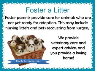 Foster a Litter
Foster parents provide care for animals who are
 not yet ready for adoption. This may include
nursing litters and pets recovering from surgery.

                              We provide
                          veterinary care and
                           expert advice, and
                          you provide a loving
                                 home!
 