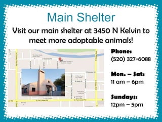Main Shelter
Visit our main shelter at 3450 N Kelvin to
      meet more adoptable animals!
                              Phone:
                              (520) 327-6088

                              Mon. – Sat:
                              11 am – 6pm

                              Sundays:
                              12pm – 5pm
 