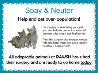 Spay & Neuter
      Help end pet over-population!
                  By spaying or neutering your pet,
                  you can help to prevent unwanted
                  animals who might not find homes.

                  Plus, the surgery also reduces cancer
                  risk and helps your pet live a longer,
                  healthier, happier life!


 All adoptable animals at PAWSH have had
their surgery and are ready to go home today!
 