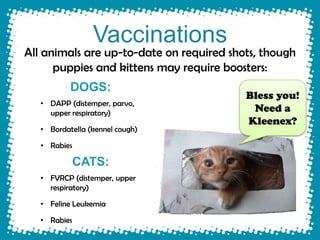 Vaccinations
All animals are up-to-date on required shots, though
      puppies and kittens may require boosters:
           DOGS:
                                          Bless you!
   • DAPP (distemper, parvo,
     upper respiratory)                    Need a
                                          Kleenex?
   • Bordatella (kennel cough)

   • Rabies

           CATS:
   • FVRCP (distemper, upper
     respiratory)

   • Feline Leukemia

   • Rabies
 