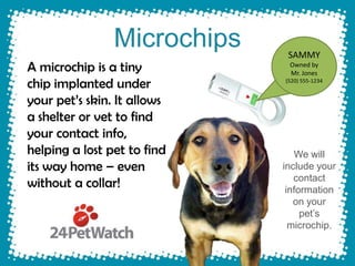 Microchips    SAMMY
A microchip is a tiny         Owned by
                              Mr. Jones
chip implanted under         (520) 555-1234


your pet’s skin. It allows
a shelter or vet to find
your contact info,
helping a lost pet to find      We will
its way home – even          include your
                                contact
without a collar!             information
                                on your
                                  pet’s
                               microchip.
 