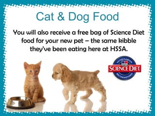 Cat & Dog Food
You will also receive a free bag of Science Diet
  food for your new pet – the same kibble
     they’ve been eating here at HSSA.
 