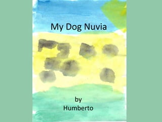 My Dog Nuvia  by Humberto 