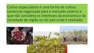 Plantations - Geografia Agrária | PPTX
