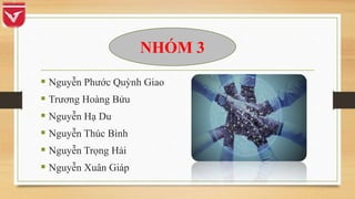  Nguyễn Phước Quỳnh Giao
 Trương Hoàng Bửu
 Nguyễn Hạ Du
 Nguyễn Thúc Bình
 Nguyễn Trọng Hải
 Nguyễn Xuân Giáp
NHÓM 3
 