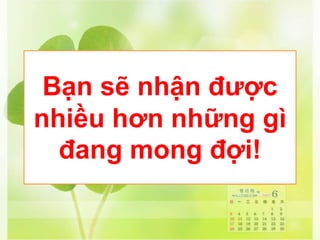 Bạn sẽ nhận được
nhiều hơn những gì
đang mong đợi!
 