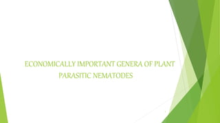 ECONOMICALLY IMPORTANT GENERA OF PLANT
PARASITIC NEMATODES
1
 