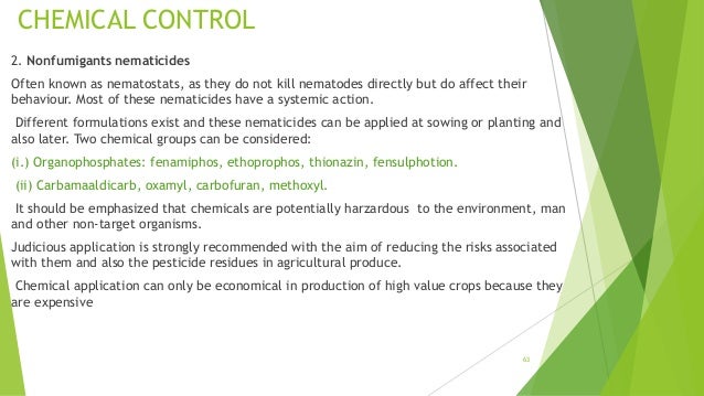 Plant Parasitic Nematodes Economically Important Genera