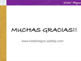 www.hotelmagno.webbly.com

 