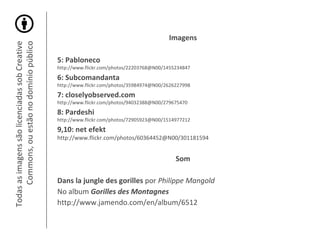 Todas as imagens são licenciadas sob Creative Commons, ou estão no domínio público Imagens 5: Pabloneco http://www.flickr.com/photos/22203768@N00/1455234847 6: Subcomandanta http://www.flickr.com/photos/35984974@N00/2626227998 7: closelyobserved.com http://www.flickr.com/photos/94032388@N00/279675470 8: Pardeshi http://www.flickr.com/photos/72905923@N00/1514977212 9,10: net efekt http://www.flickr.com/photos/60364452@N00/301181594 Som Dans la jungle des gorilles   por  Philippe Mangold No album  Gorilles des Montagnes http://www.jamendo.com/en/album/6512 