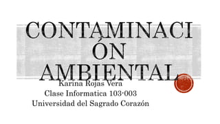 Karina Rojas Vera
Clase Informatica 103-003
Universidad del Sagrado Corazón
 