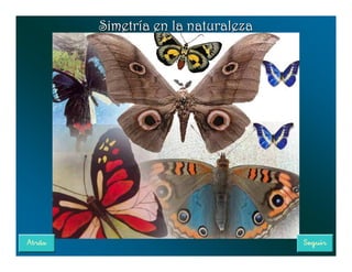 Simetría en la naturaleza
 