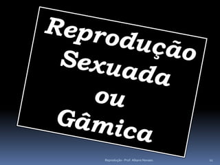 Reprodução - Prof. Albano Novaes.   11
 