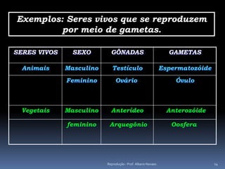 Exemplos: Seres vivos que se reproduzem
         por meio de gametas.

SERES VIVOS     SEXO        GÔNADAS                             GAMETAS

  Animais     Masculino      Testículo                        Espermatozóide
              Feminino         Ovário                             Óvulo



  Vegetais    Masculino     Anterídeo                           Anterozóide

              feminino     Arquegônio                            Oosfera




                          Reprodução - Prof. Albano Novaes.                    14
 