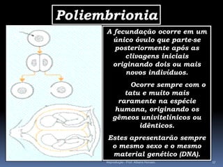 Poliembrionia
      A fecundação ocorre em um
        único óvulo que parte-se
        posteriormente após as
            clivagens iniciais
        originando dois ou mais
            novos indivíduos.
                Ocorre sempre com o
              tatu e muito mais
            raramente na espécie
           humana, originando os
          gêmeos univitelínicos ou
                  idênticos.
      Estes apresentarão sempre
       o mesmo sexo e o mesmo
       material genético (DNA).
      Reprodução - Prof. Albano Novaes.   17
 