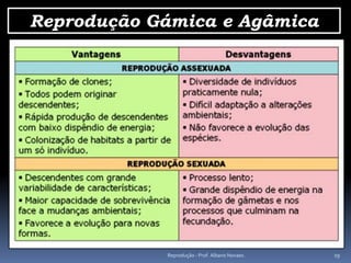 Reprodução Gámica e Agâmica




            Reprodução - Prof. Albano Novaes.   19
 