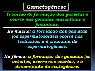 Gametogênese
Processo de formação dos gametas e
 ocorre nas gônadas masculinas e
             femininas.
 No macho: a formação dos gametas
   (os espermatozóides) ocorre nos
      testículos, e é chamada de
           espermatogênese.

Na fêmea: a formação dos gametas (os
   ovócitos) ocorre nos ovários, e é
     denominada de ovulogênese.
                 Reprodução - Prof. Albano Novaes.   21
 