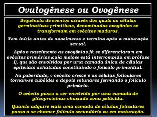 Ovulogênese ou Ovogênese
      Sequência de eventos através dos quais as células
     germinativas primitivas, denominadas ovogônias se
            transformam em ovócitos maduros.
Tem início antes do nascimento e termina após a maturação
                          sexual.
   Após o nascimento as ovogônias já se diferenciaram em
ovócitos primários (cuja meiose está interrompida em prófase
   I), que são envolvidos por uma camada única de células
   epiteliais achatadas constituindo o folículo primordial.
   Na puberdade, o ovócito cresce e as células foliculares
 tornam-se cubóides e depois colunares formando o folículo
                         primário.
     O ovócito passa a ser envolvido por uma camada de
           glicoproteínas chamado zona pelúcida.
  Quando adquire mais uma camada de células foliculares
  passa a se chamar folículo Reprodução - Prof. Albano Novaes.em maturação.
                             secundário ou                                    28
 