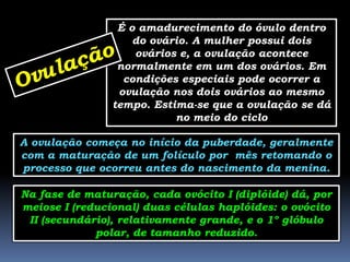 É o amadurecimento do óvulo dentro
                    do ovário. A mulher possui dois
                    ovários e, a ovulação acontece
                 normalmente em um dos ovários. Em
                  condições especiais pode ocorrer a
                 ovulação nos dois ovários ao mesmo
                tempo. Estima-se que a ovulação se dá
                           no meio do ciclo

A ovulação começa no início da puberdade, geralmente
com a maturação de um folículo por mês retomando o
processo que ocorreu antes do nascimento da menina.

Na fase de maturação, cada ovócito I (diplóide) dá, por
meiose I (reducional) duas células haplóides: o ovócito
 II (secundário), relativamente grande, e o 1º glóbulo
             polar, de tamanho reduzido.
 
