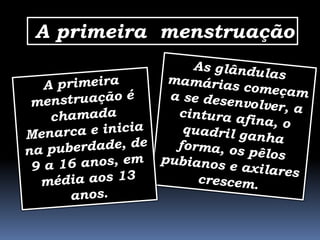 A primeira menstruação
 