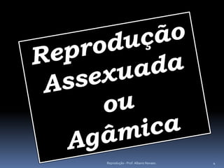 Reprodução - Prof. Albano Novaes.   4
 