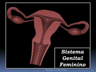Sistema
                      Genital
                     Feminino
Reprodução - Prof. Albano Novaes.   57
 