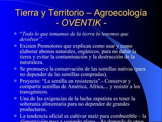 Tierra y Territorio – Agroecología -  OVENTIK - “ Todo lo que tomamos de la tierra lo tenemos que devolver”. Existen Promotores que explican como usar y como elaborar abonos naturales, orgánicos, para no dañar la tierra y evitar la contaminación y la destrucción de la naturaleza. Se promueve la conservación de las semillas nativas (para no depender de las semillas compradas). Proyecto: “La semilla en resistencia”.- Conservar y compartir semillas de América, África,... y resistir a los transgénicos. Una de las exigencias de la lucha zapatista es tener la soberanía alimentaria para no depender de grandes productores. La tendencia oficial es cultivar maíz para combustible – la alimentación pasa a segundo plano – Se depende de otros para comer (se pierde la soberanía alimentaria). 