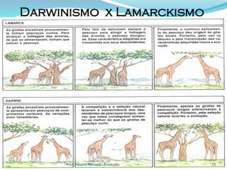 Darwinismo x Lamarckismo




      Prof. Albano Novaes - Evolução   10
 
