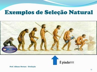 Exemplos de Seleção Natural




                                  É piada!!!!
 Prof. Albano Novaes - Evolução
                                                11
 