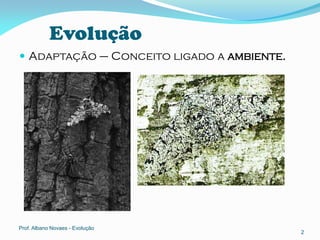 Evolução
 Adaptação – Conceito ligado a ambiente.




Prof. Albano Novaes - Evolução
                                            2
 