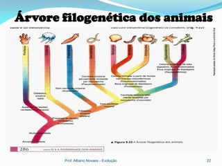 Árvore filogenética dos animais




       Prof. Albano Novaes - Evolução   22
 