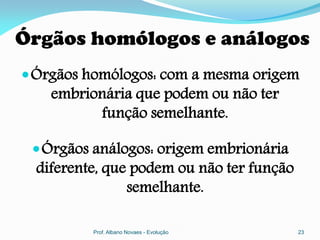 Órgãos homólogos e análogos
 Órgãos homólogos: com a mesma origem
    embrionária que podem ou não ter
          função semelhante.

  Órgãos análogos: origem embrionária
  diferente, que podem ou não ter função
                semelhante.

          Prof. Albano Novaes - Evolução   23
 
