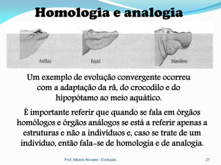 Homologia e analogia



  Um exemplo de evolução convergente ocorreu
    com a adaptação da rã, do crocodilo e do
        hipopótamo ao meio aquático.
  É importante referir que quando se fala em órgãos
homólogos e órgãos análogos se está a referir apenas a
  estruturas e não a indivíduos e, caso se trate de um
 indivíduo, então fala-se de homologia e de analogia.
             Prof. Albano Novaes - Evolução          27
 