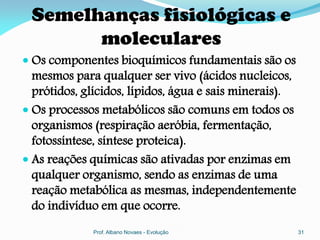 Semelhanças fisiológicas e
       moleculares
 Os componentes bioquímicos fundamentais são os
  mesmos para qualquer ser vivo (ácidos nucleicos,
  prótidos, glícidos, lípidos, água e sais minerais).
 Os processos metabólicos são comuns em todos os
  organismos (respiração aeróbia, fermentação,
  fotossíntese, síntese proteica).
 As reações químicas são ativadas por enzimas em
  qualquer organismo, sendo as enzimas de uma
  reação metabólica as mesmas, independentemente
  do indivíduo em que ocorre.
             Prof. Albano Novaes - Evolução             31
 