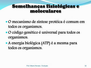  O mecanismo de síntese protéica é comum em
  todos os organismos.
 O código genético é universal para todos os
  organismos.
 A energia biológica (ATP) é a mesma para
  todos os organismos.



            Prof. Albano Novaes - Evolução      32
 